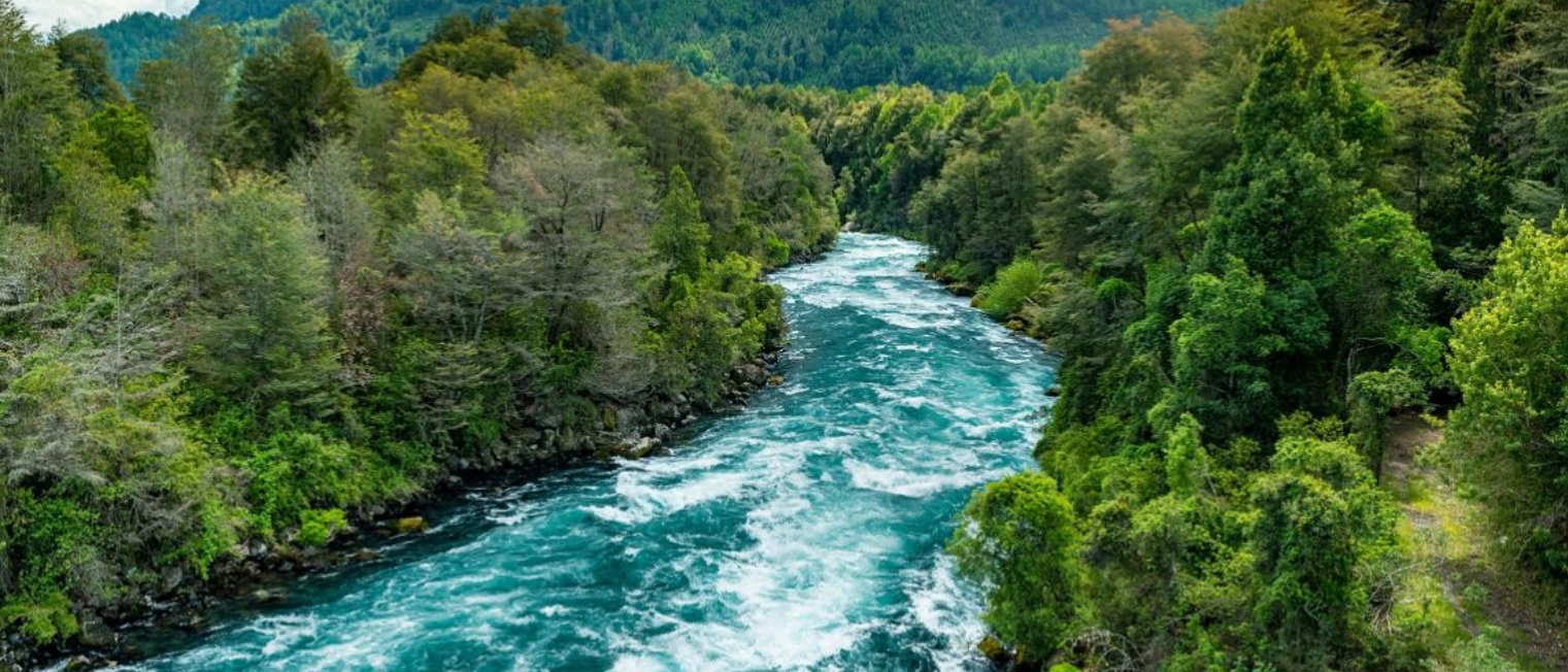 An Introduction to Time Series Signatures